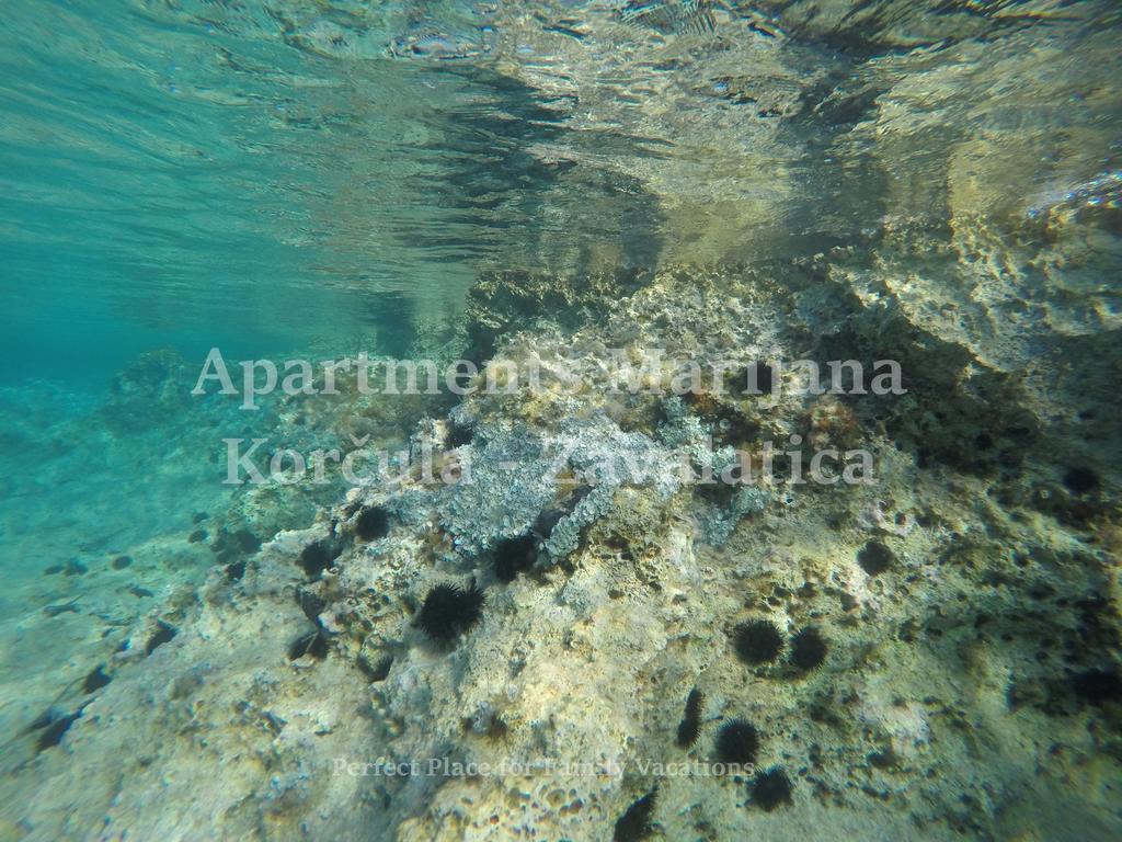 Apartments Marijana زافالاتيكا المظهر الخارجي الصورة