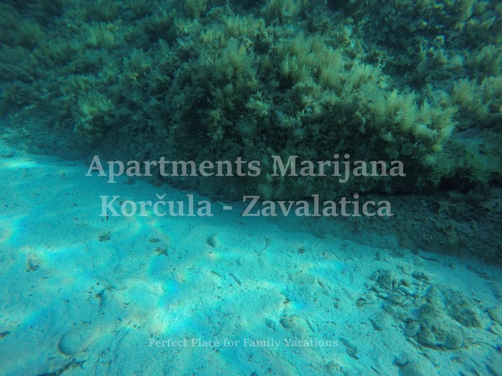 Apartments Marijana زافالاتيكا المظهر الخارجي الصورة