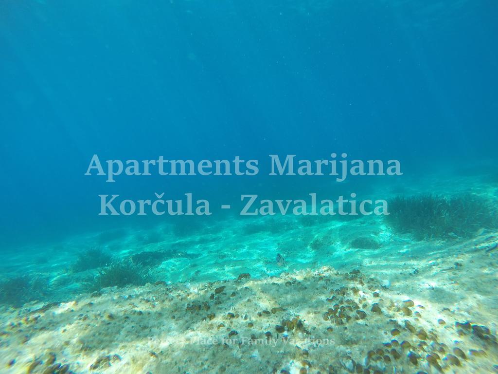 Apartments Marijana زافالاتيكا المظهر الخارجي الصورة